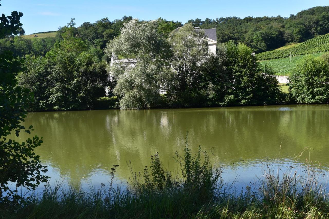 Monein Chateau Roquehort Avec Ev Recharge Point 22Kw المظهر الخارجي الصورة
